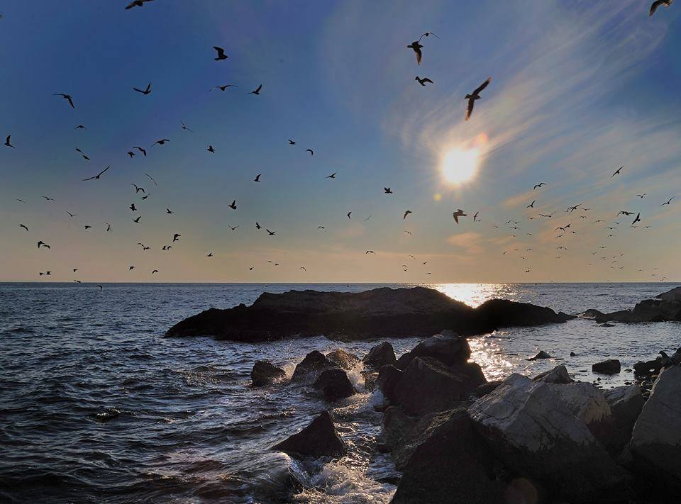 Scogli dove andar al mare a Trieste di Antonio Marano Nino