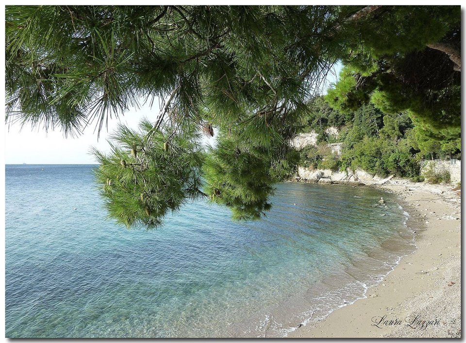 Ginestre: dove andare al mar a Trieste di laura lazzari